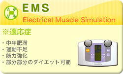 ＥＭＳ